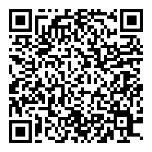 Remesys UPI QR Code